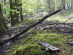 ŠIROKÁ-Hladná
