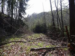 ŠIROKÁ-Pod Hornú Rovňu